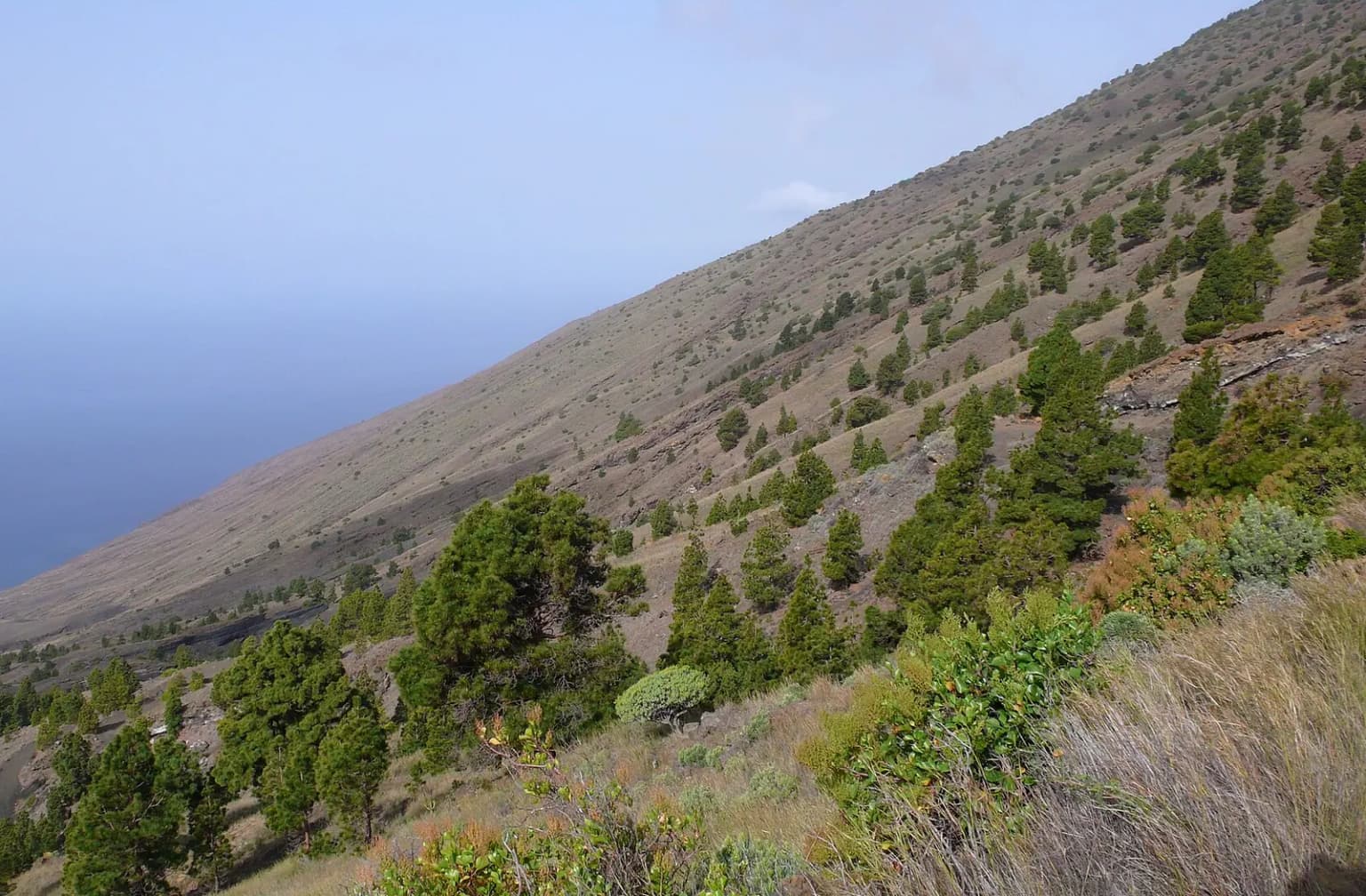 El Julan, El Hierro